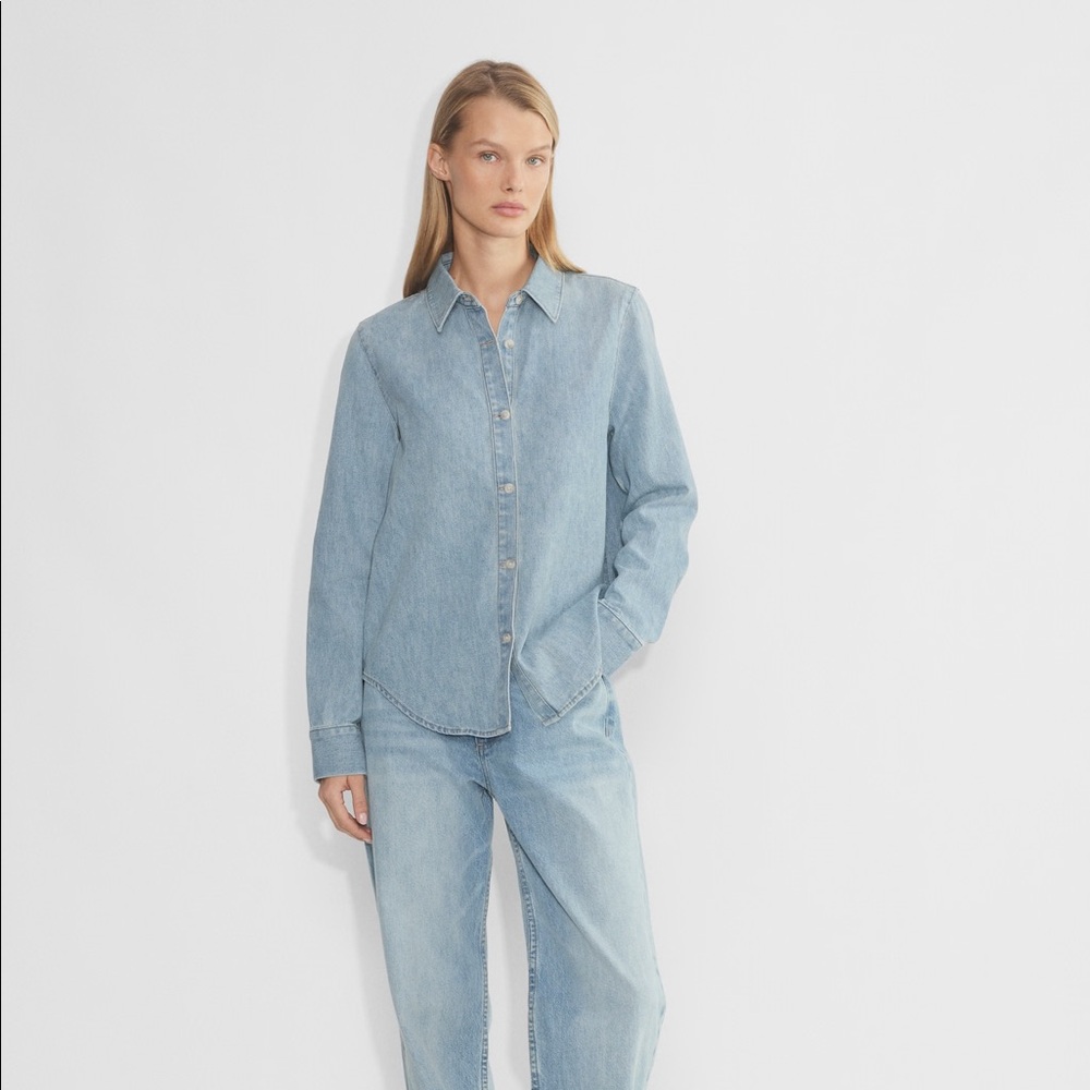 Aritzia Denim Button Down Shirt